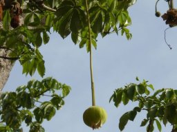 281824_10150257390324901_4544972_n